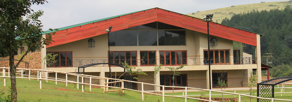Silver Mist Resort