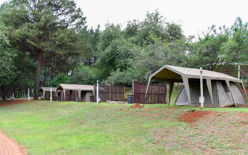 Camping